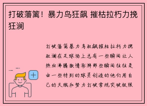 打破藩篱！暴力鸟狂飙 摧枯拉朽力挽狂澜