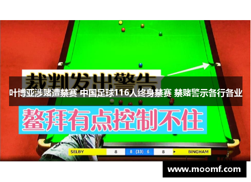 叶博亚涉赌遭禁赛 中国足球116人终身禁赛 禁赌警示各行各业